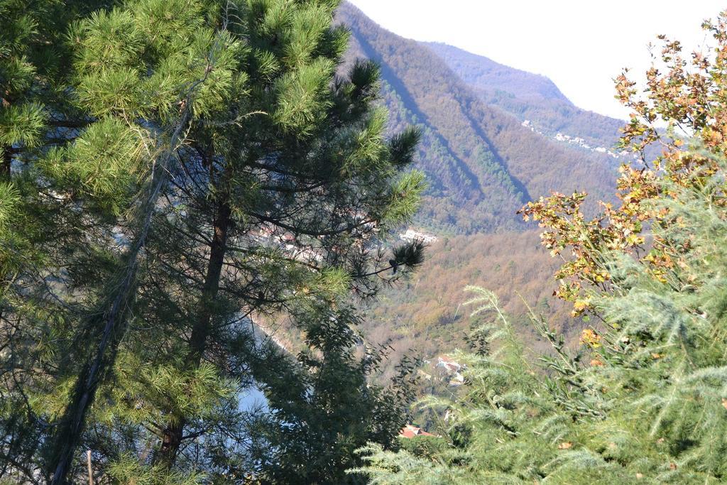Toscana Nord Ovest - Tra La Costa Apartments Albiano Magra ภายนอก รูปภาพ